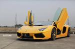 Lamborghini Aventador on Bronze PUR Wheels by SR Auto Group 2014 года